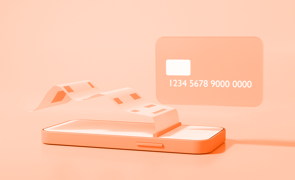 What is Direct Debit System?