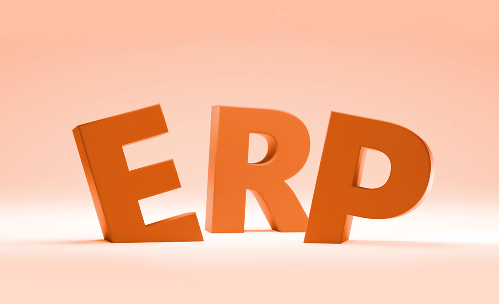 What is ERP? What are ERP Types? Netekstre ERP - Finrota